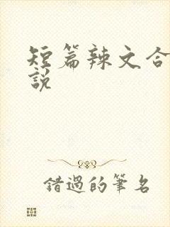 短篇辣文合集小说封面