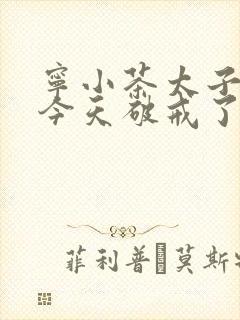 宁小茶太子殿下今天破戒了吗免费阅读