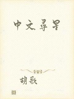中文寻星