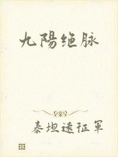 九阳绝脉封面