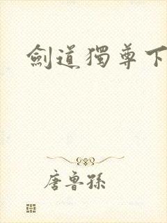 剑道独尊下载