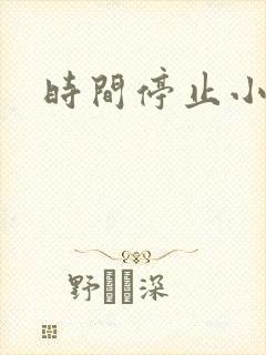 时间停止小说