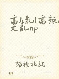 高h乱l高辣h文乱np
