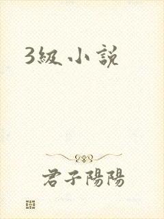 3级小说