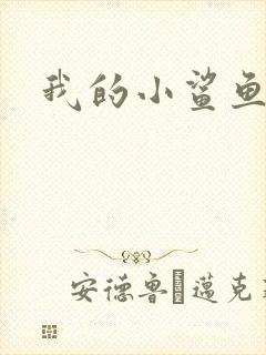 我的小鲨鱼