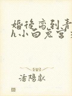 婚后脔到青梅哭h小白兔宫交h封面