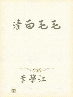 清白毛毛
