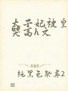 太子妃被皇上c哭高h文