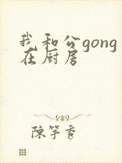 我和公gong在厨房封面