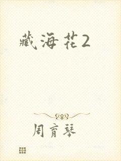 藏海花2
