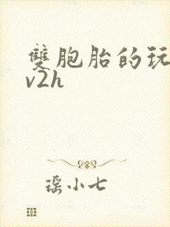 双胞胎的玩具1v2h