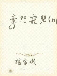 豪门宠儿(npc)
