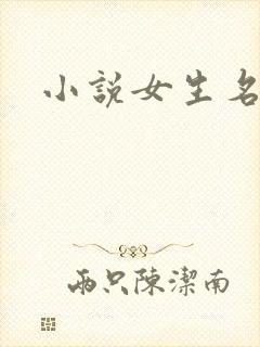 小说女生名字封面