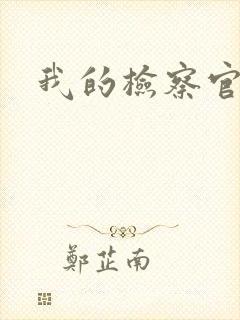 我的检察官先生