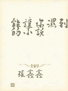 能让你湿到不行的小说
