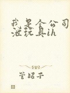 我是全公司的发泄玩具ih