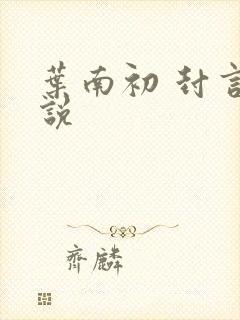叶南初 封言小说封面