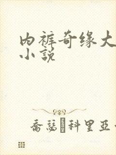 内裤奇缘大团结小说封面