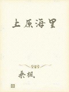 上原海里封面