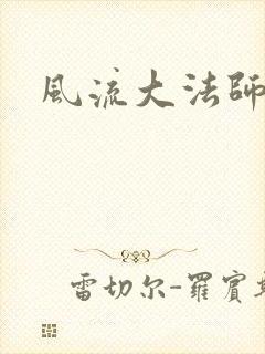 风流大法师封面
