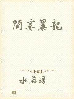 开赛暴龙