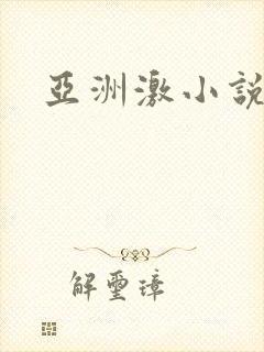 亚洲激小说封面