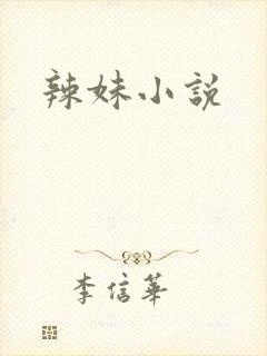辣妹小说