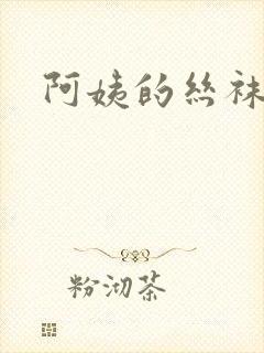阿姨的丝袜小说