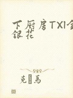 下厨房TXl金银花