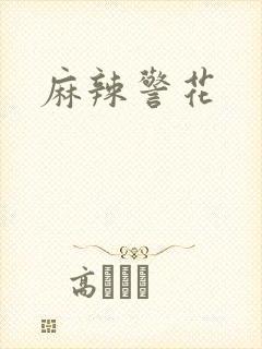 麻辣警花封面