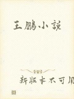 王鹏小说封面