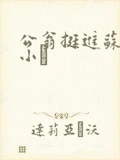 公翁挺进苏玥的小泬