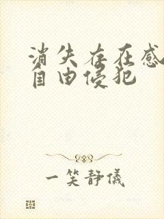 消失存在感消失自由侵犯