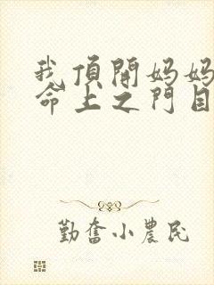 我顶开妈妈的生命上之门目录封面