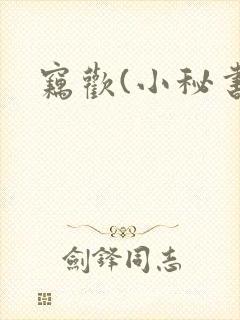 窃欢(小秘书)