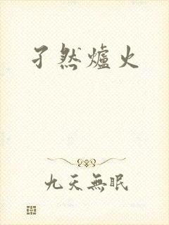 孑然炉火