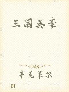 三国英豪封面
