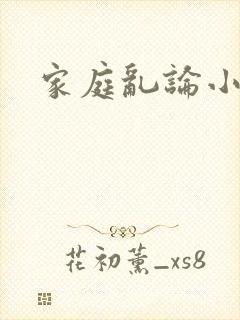 家庭乱论小说