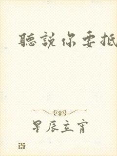 听说你要抵抗我封面