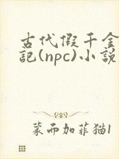 古代假千金挨日记(npc)小说