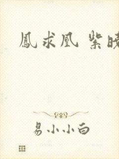 凤求凰 紫晓