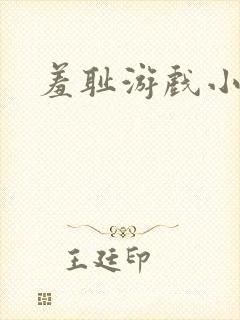 羞耻游戏小说