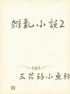 杂乱小说2