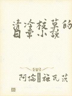 清冷校草的堕落日常小说