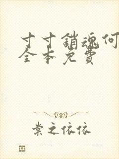 寸寸销魂何生祥全本免费封面