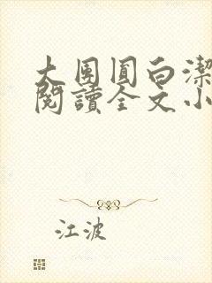 大团圆白洁免费阅读全文小说封面