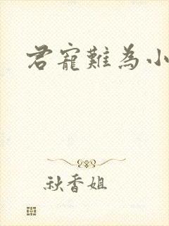 君宠难为小说
