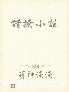 错撩小说