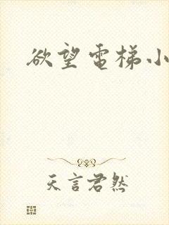 欲望电梯小说