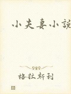 小夫妻小说